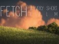 Fetch